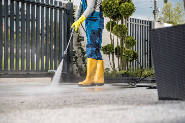Best Roof Pressure Washing  in Athens, GA